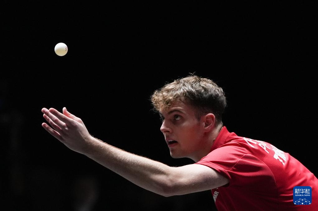 球生态中 球生态中