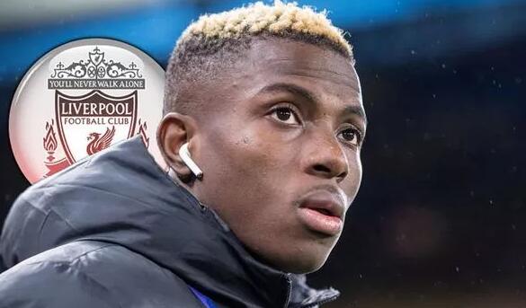 战术上的细 战术上的细