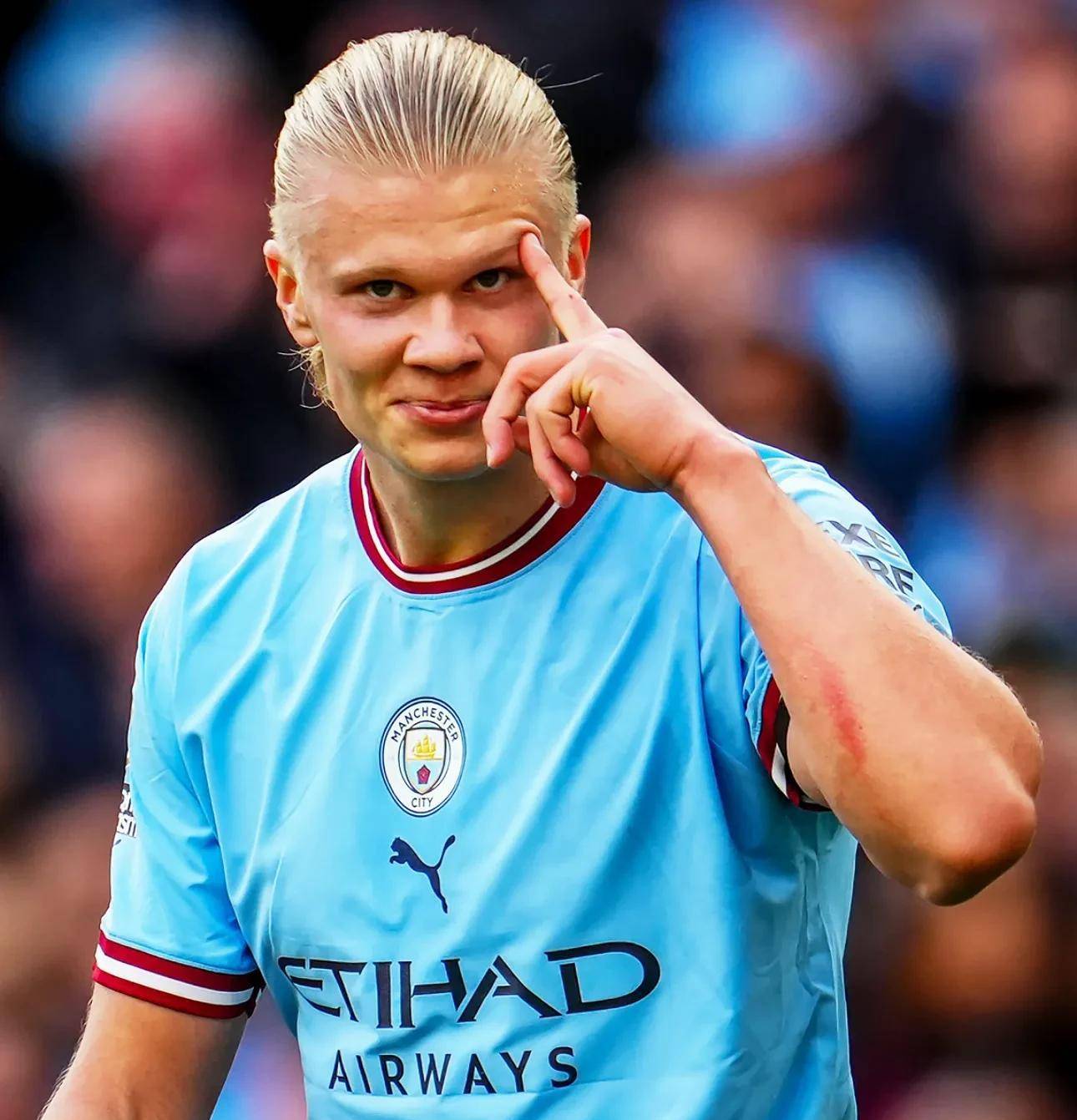 板块内位阶 板块内位阶